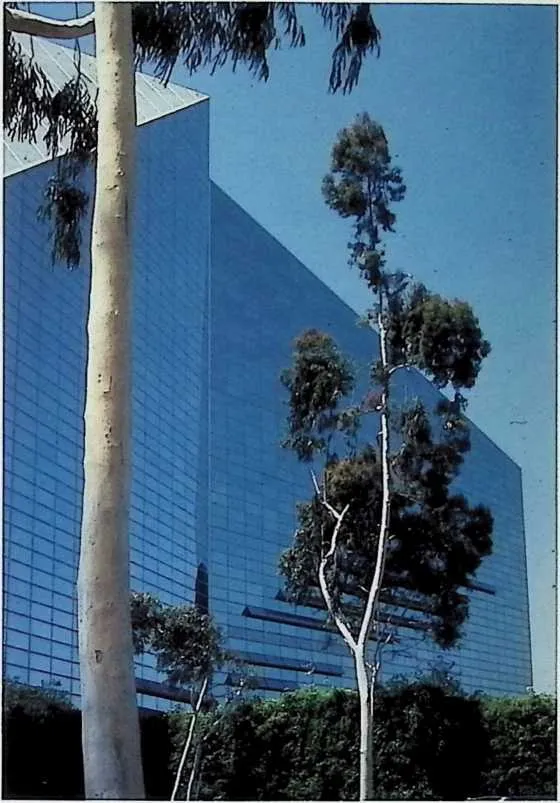 PIC