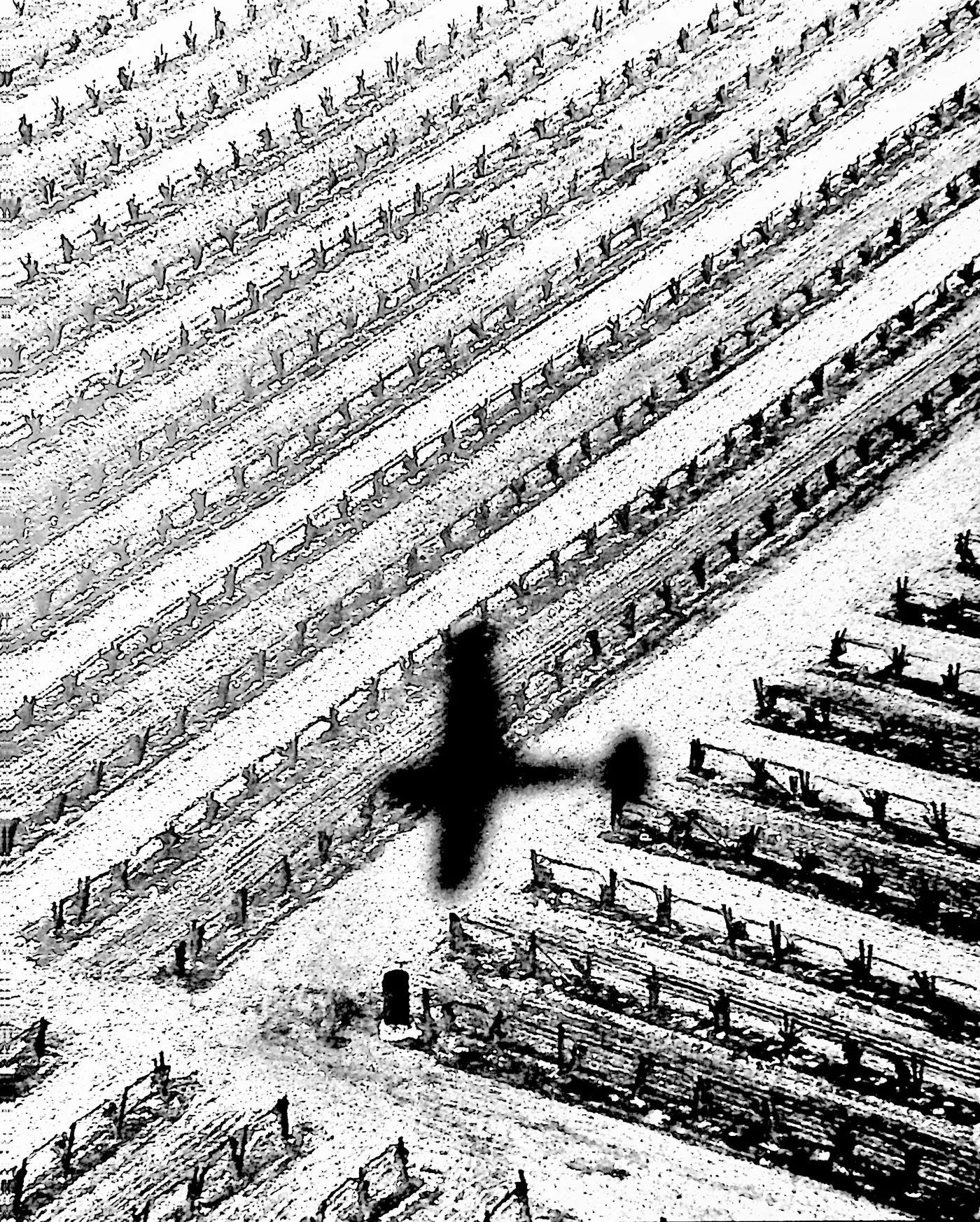 PIC